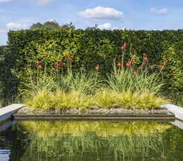 Foto van een recente zwemvijver