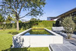 Foto van een recent zwemvijverproject van Poels