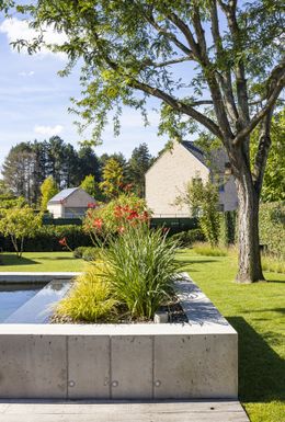 Foto van een recent zwemvijverproject van Poels