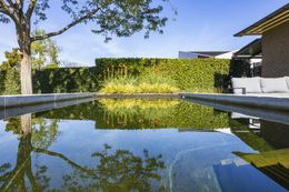 Foto van een recent zwemvijverproject van Poels